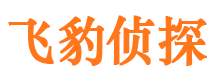 驿城侦探调查公司